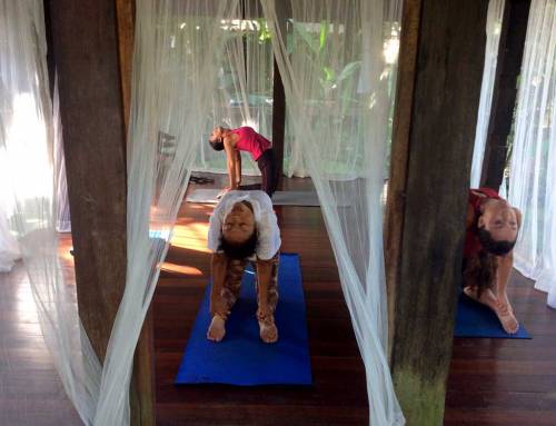 Why a Yoga Retreat in Chiang Mai Should Be Your Next Travel Destination
