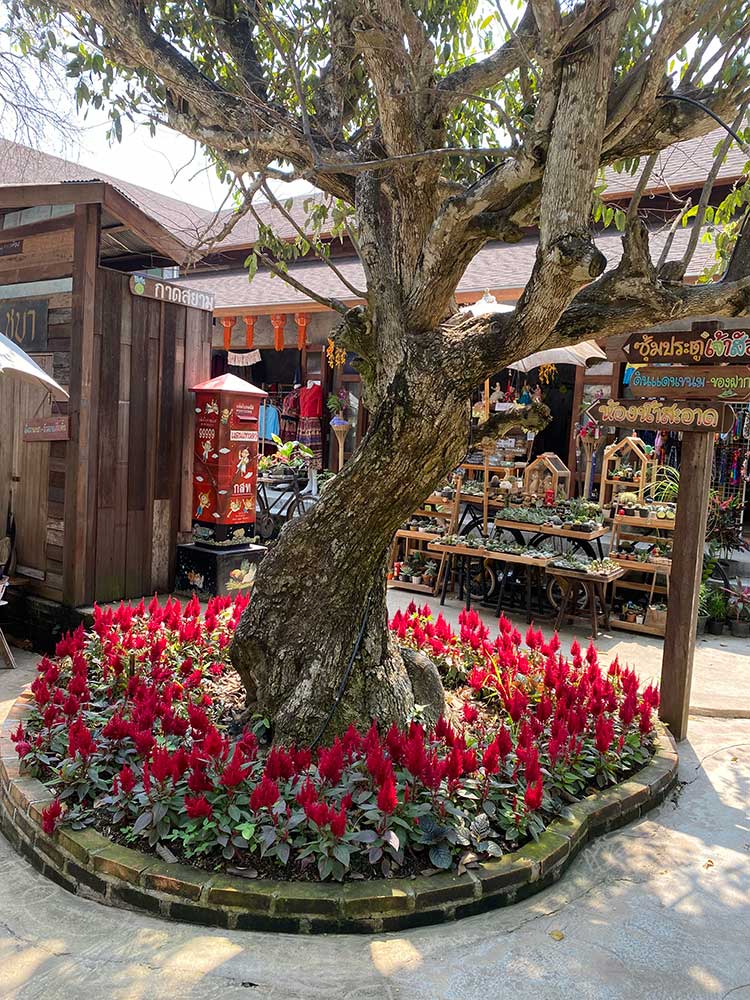 Chiang Mai Garden of Angels 10-3-22